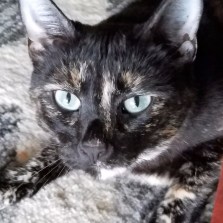 cropped-20170513_193700-2