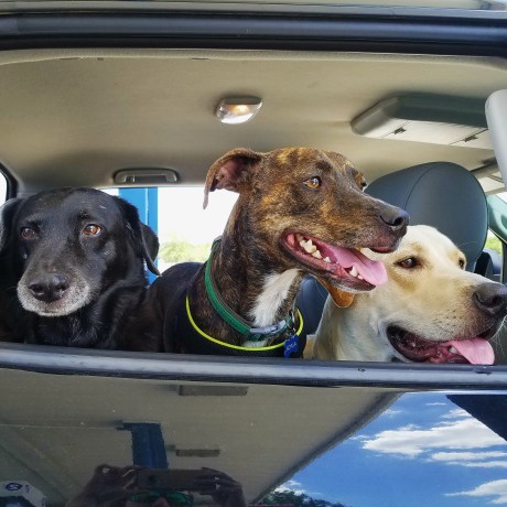 IMG_20170416_191128_077