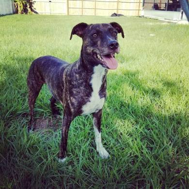 IMG_20170627_201016_749