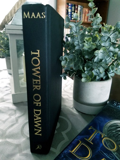 Tower of Dawn Sarah J Maas on Let them Read Cake