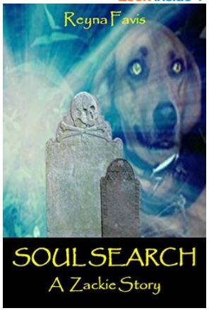soul search cover